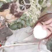 ヒメ日記 2025/09/23 10:31 投稿 ♡ひなの先生♡ 梅田ムチぽよ女学院