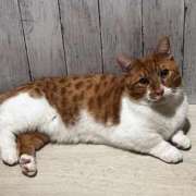 ヒメ日記 2025/09/23 14:20 投稿 ♡ひなの先生♡ 梅田ムチぽよ女学院