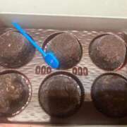 ヒメ日記 2025/09/28 11:20 投稿 ♡ひなの先生♡ 梅田ムチぽよ女学院