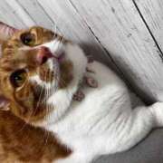 ヒメ日記 2025/10/01 18:10 投稿 ♡ひなの先生♡ 梅田ムチぽよ女学院