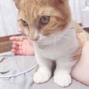 ヒメ日記 2025/10/02 13:30 投稿 ♡ひなの先生♡ 梅田ムチぽよ女学院