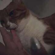 ヒメ日記 2025/10/03 09:20 投稿 ♡ひなの先生♡ 梅田ムチぽよ女学院