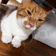 ヒメ日記 2025/10/04 18:40 投稿 ♡ひなの先生♡ 梅田ムチぽよ女学院