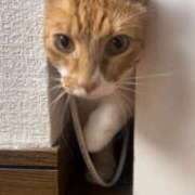 ヒメ日記 2025/10/11 13:50 投稿 ♡ひなの先生♡ 梅田ムチぽよ女学院