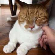 ヒメ日記 2025/10/13 10:20 投稿 ♡ひなの先生♡ 梅田ムチぽよ女学院