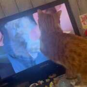 ヒメ日記 2025/10/14 17:35 投稿 ♡ひなの先生♡ 梅田ムチぽよ女学院