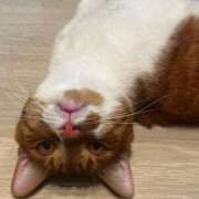 ヒメ日記 2025/10/17 17:50 投稿 ♡ひなの先生♡ 梅田ムチぽよ女学院