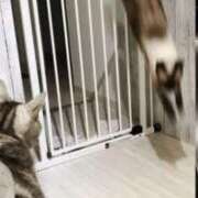 ヒメ日記 2025/10/17 22:50 投稿 ♡ひなの先生♡ 梅田ムチぽよ女学院