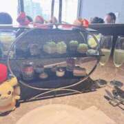 ヒメ日記 2025/10/19 11:50 投稿 ♡ひなの先生♡ 梅田ムチぽよ女学院