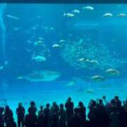 ヒメ日記 2025/10/21 18:30 投稿 ♡ひなの先生♡ 梅田ムチぽよ女学院