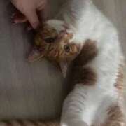 ヒメ日記 2025/10/30 13:07 投稿 ♡ひなの先生♡ 梅田ムチぽよ女学院