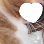 ヒメ日記 2025/10/31 10:40 投稿 ♡ひなの先生♡ 梅田ムチぽよ女学院