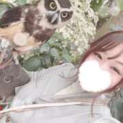 ヒメ日記 2025/10/31 11:10 投稿 ♡ひなの先生♡ 梅田ムチぽよ女学院