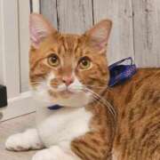 ヒメ日記 2025/11/09 11:00 投稿 ♡ひなの先生♡ 梅田ムチぽよ女学院