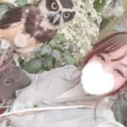 ヒメ日記 2025/11/10 14:20 投稿 ♡ひなの先生♡ 梅田ムチぽよ女学院