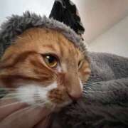 ヒメ日記 2025/11/11 13:10 投稿 ♡ひなの先生♡ 梅田ムチぽよ女学院