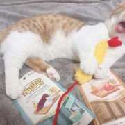 ヒメ日記 2025/11/15 15:20 投稿 ♡ひなの先生♡ 梅田ムチぽよ女学院