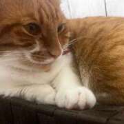 ヒメ日記 2025/11/17 15:20 投稿 ♡ひなの先生♡ 梅田ムチぽよ女学院