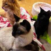 ヒメ日記 2025/11/19 18:31 投稿 ♡ひなの先生♡ 梅田ムチぽよ女学院