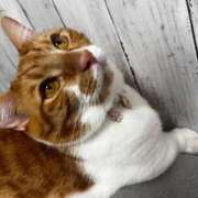 ヒメ日記 2025/11/26 02:47 投稿 ♡ひなの先生♡ 梅田ムチぽよ女学院