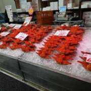 ヒメ日記 2025/12/01 08:20 投稿 ♡ひなの先生♡ 梅田ムチぽよ女学院