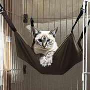 ヒメ日記 2025/12/02 08:51 投稿 ♡ひなの先生♡ 梅田ムチぽよ女学院