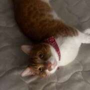 ヒメ日記 2025/12/04 17:20 投稿 ♡ひなの先生♡ 梅田ムチぽよ女学院