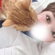 ヒメ日記 2025/12/15 12:50 投稿 ♡ひなの先生♡ 梅田ムチぽよ女学院