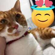 ヒメ日記 2025/12/17 03:50 投稿 ♡ひなの先生♡ 梅田ムチぽよ女学院