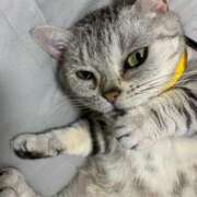 ヒメ日記 2025/12/19 17:00 投稿 ♡ひなの先生♡ 梅田ムチぽよ女学院