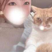 ヒメ日記 2025/12/20 03:55 投稿 ♡ひなの先生♡ 梅田ムチぽよ女学院