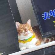 ヒメ日記 2025/12/24 20:23 投稿 ♡ひなの先生♡ 梅田ムチぽよ女学院