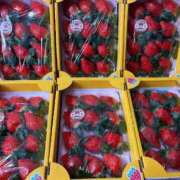 ヒメ日記 2025/12/25 12:00 投稿 ♡ひなの先生♡ 梅田ムチぽよ女学院