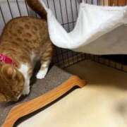 ヒメ日記 2025/12/25 13:20 投稿 ♡ひなの先生♡ 梅田ムチぽよ女学院