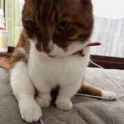 ヒメ日記 2025/12/27 11:50 投稿 ♡ひなの先生♡ 梅田ムチぽよ女学院