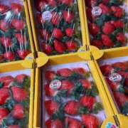 ヒメ日記 2025/12/27 14:40 投稿 ♡ひなの先生♡ 梅田ムチぽよ女学院