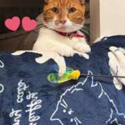 ヒメ日記 2025/12/31 23:10 投稿 ♡ひなの先生♡ 梅田ムチぽよ女学院