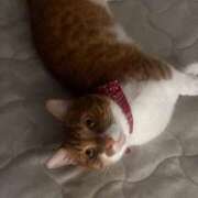 ヒメ日記 2026/01/04 21:50 投稿 ♡ひなの先生♡ 梅田ムチぽよ女学院