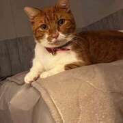 ヒメ日記 2026/01/07 10:10 投稿 ♡ひなの先生♡ 梅田ムチぽよ女学院