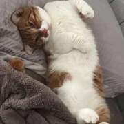 ヒメ日記 2026/01/10 18:07 投稿 ♡ひなの先生♡ 梅田ムチぽよ女学院