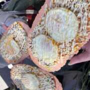 ヒメ日記 2026/01/10 18:40 投稿 ♡ひなの先生♡ 梅田ムチぽよ女学院