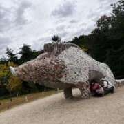 ヒメ日記 2026/01/11 01:06 投稿 ♡ひなの先生♡ 梅田ムチぽよ女学院