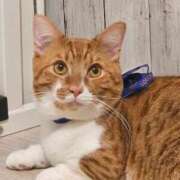 ヒメ日記 2026/01/11 10:50 投稿 ♡ひなの先生♡ 梅田ムチぽよ女学院