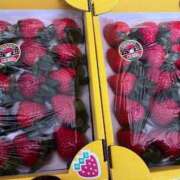 ヒメ日記 2026/01/12 02:20 投稿 ♡ひなの先生♡ 梅田ムチぽよ女学院