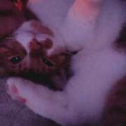 ヒメ日記 2026/01/12 03:00 投稿 ♡ひなの先生♡ 梅田ムチぽよ女学院