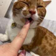 ヒメ日記 2026/01/19 07:00 投稿 ♡ひなの先生♡ 梅田ムチぽよ女学院