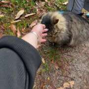 ヒメ日記 2026/01/26 19:40 投稿 ♡ひなの先生♡ 梅田ムチぽよ女学院