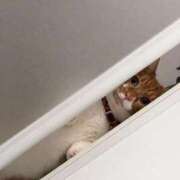 ヒメ日記 2026/02/04 09:10 投稿 ♡ひなの先生♡ 梅田ムチぽよ女学院