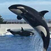 ヒメ日記 2026/02/09 10:20 投稿 ♡ひなの先生♡ 梅田ムチぽよ女学院