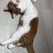 ヒメ日記 2026/02/12 22:51 投稿 ♡ひなの先生♡ 梅田ムチぽよ女学院